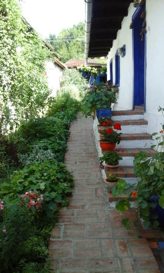 Casa Anca Cheile Nerei Villa Sokolar Exterior photo